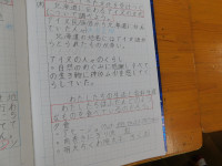 DSCN3053