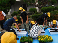 DSCN9904