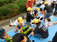 DSCN9912