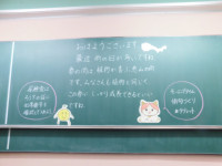 00-6