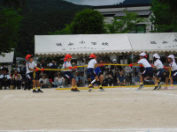 ７－３