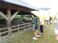 DSCN5542