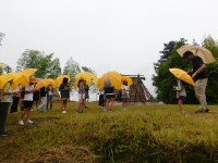 DSCN5548