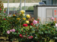 DSCN0099