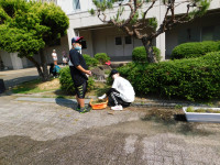 DSCN2112