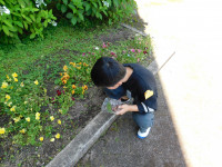 DSCN2665