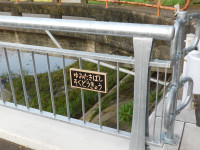 DSCN5151