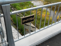DSCN5152