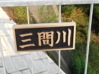 DSCN5167