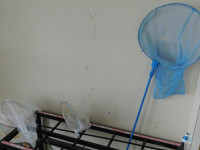 DSCN5529