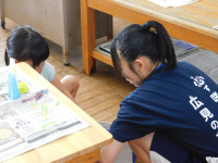 DSCN5598