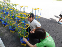 DSCN5837