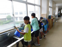 DSCN5982