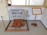DSCN6151