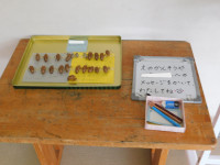 DSCN6186