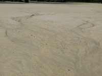 DSCN7038
