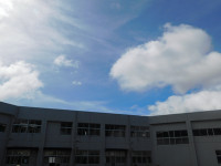 DSCN7035