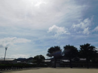 DSCN7040