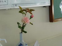 04