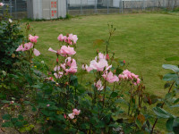 DSCN3024