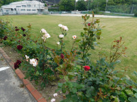 DSCN3026