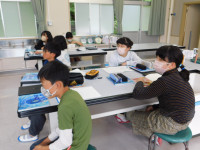 DSCN3089