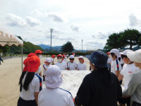 DSCN3201