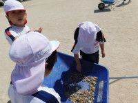 DSCN3326
