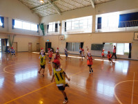 DSCN0537