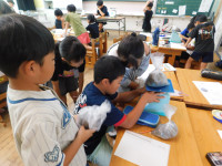 DSCN0815