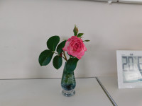 DSCN0566