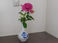 DSCN0568
