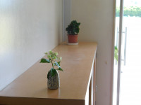 DSCN0569