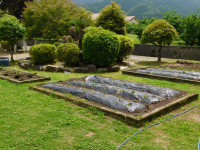 DSCN0913